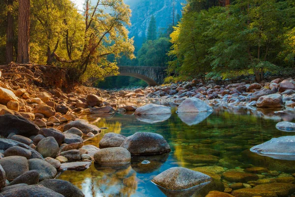 Yosemite 'de taşlı ve ağaçlı bir dere