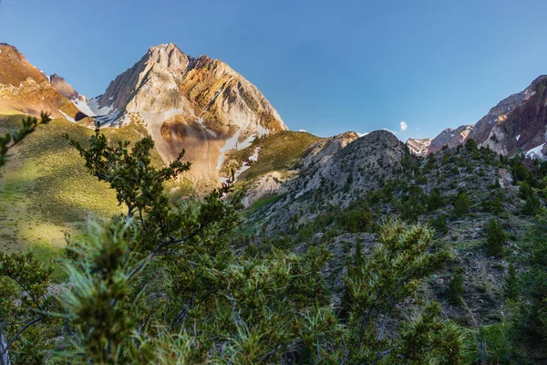 Dağ manzarasında kayalar, ağaçlar ve bitkiler