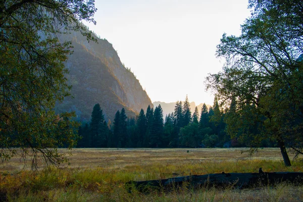 Prato, alberi e montagna nel Parco Nazionale dello Yosemite — Foto Stock