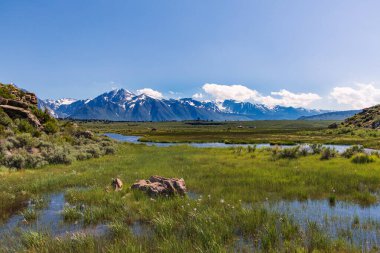 Karlı dağları olan yeşil bir çayır boyunca akan bir dere