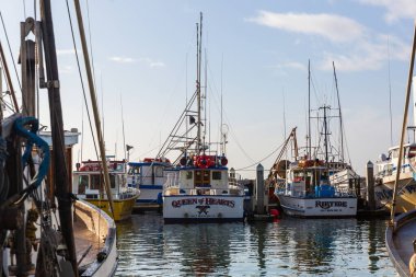 Sabah Kaliforniya 'da bir limanda tekneler