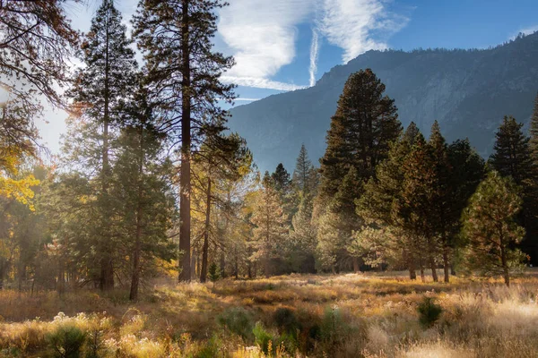 Cores de outono cênicas em Yosemite Valley com um prado e árvores — Fotografia de Stock