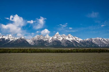 Grand Tetons 'un üzerinde bir mavi kuş gökyüzü ve bir çayır