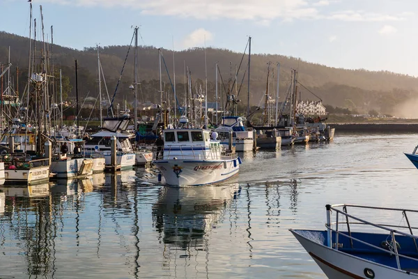 Sabah Kaliforniya 'da bir limanda tekneler