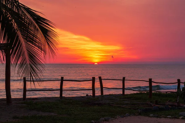 Meksika sahillerinde canlı bir tropikal gün batımı. Palmiye ağaçları da var.