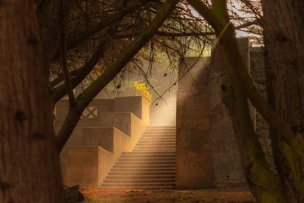 Güneş ışığı San Francisco 'da bir parkta merdivenleri aydınlatıyor.