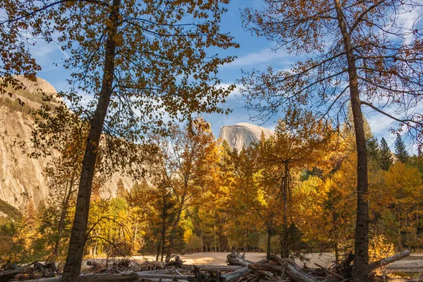 Yosemite 'de bir sonbahar sahnesi arasında Yarı Kubbe ve ağaçlar 