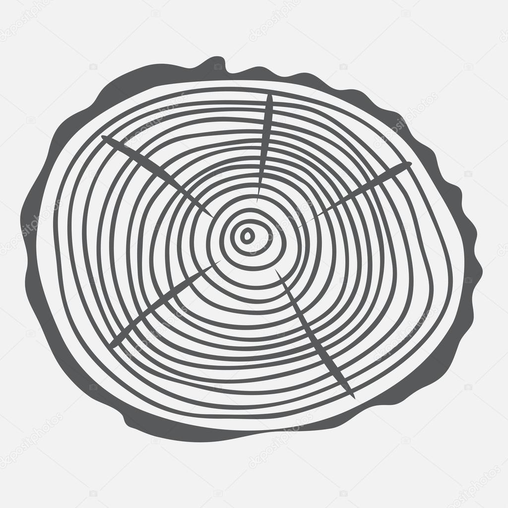 Annual rings of the cut tree