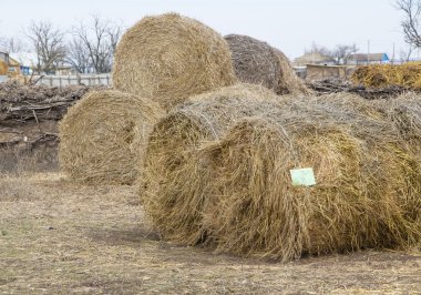 Balya saman bir alanda bir kış manzarası