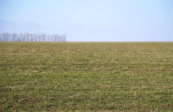 Kışın Rus kır. Stavropol