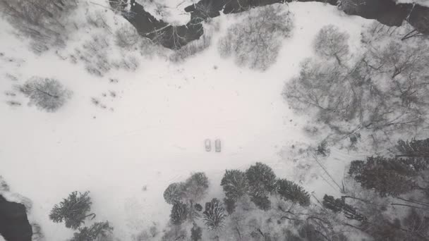 Voo Movimento Vertical Sobre Paisagem Florestal Congelada Com Dois Carros — Vídeo de Stock