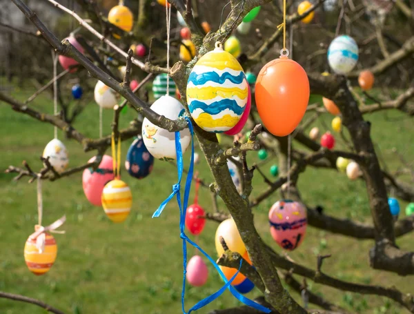 Uova di Pasqua appese al cespuglio — Foto Stock