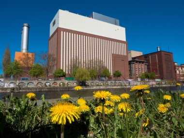 bir elektrik santrali önünde çiçek çayır