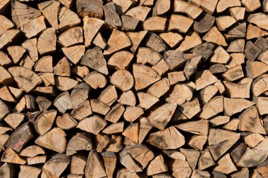 Woodpile