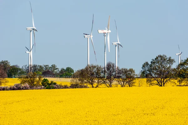 Windturbines in een veld van koolzaad — Stockfoto