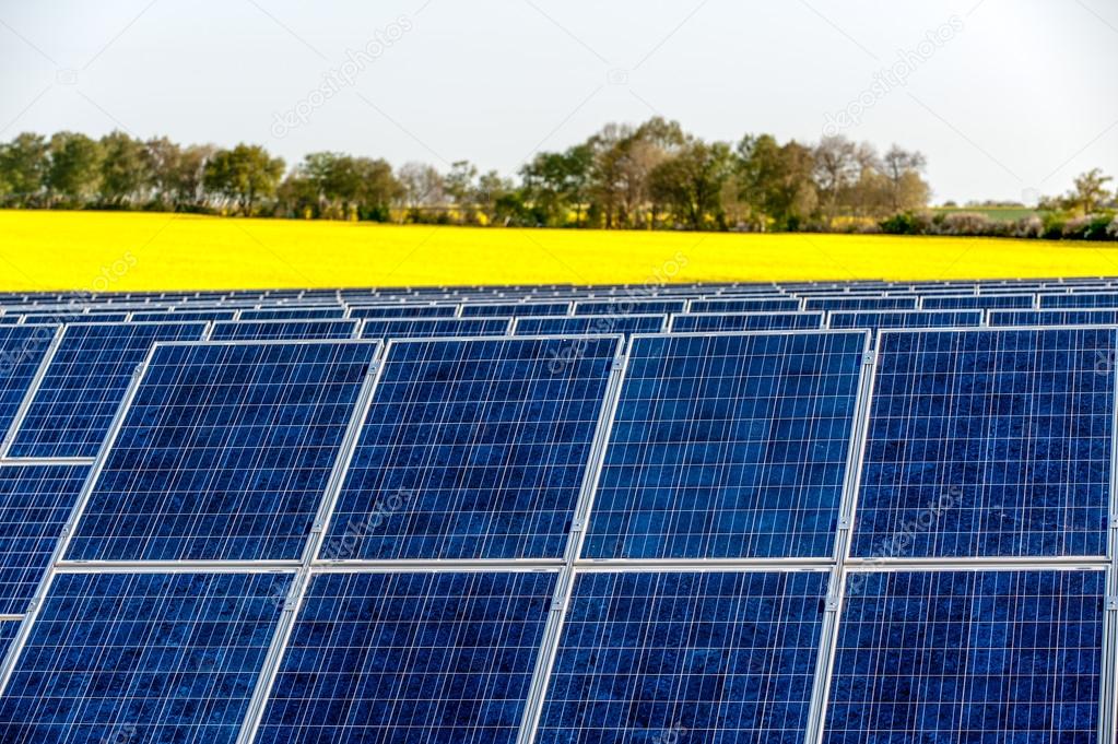 Solar panels in a rapeseed field