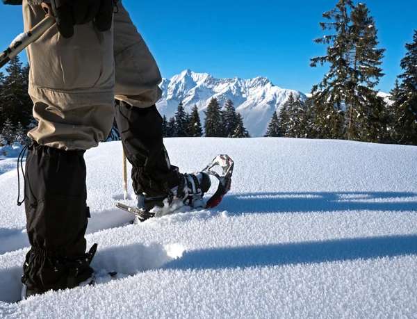 Zapatillas de nieve con panorama alpino Fotos de stock