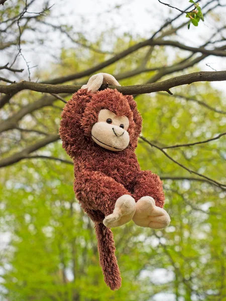 Macaco de pelúcia — Fotografia de Stock