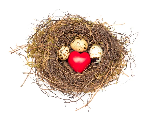 Heart and eggs in the nest — Stock Photo, Image