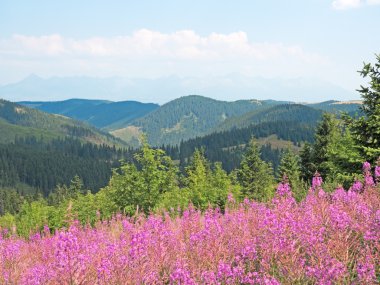 Düşük Tatras peyzaj