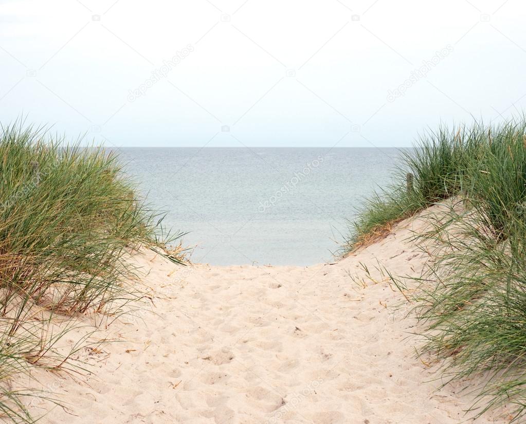 Beach transition to the Baltic Sea