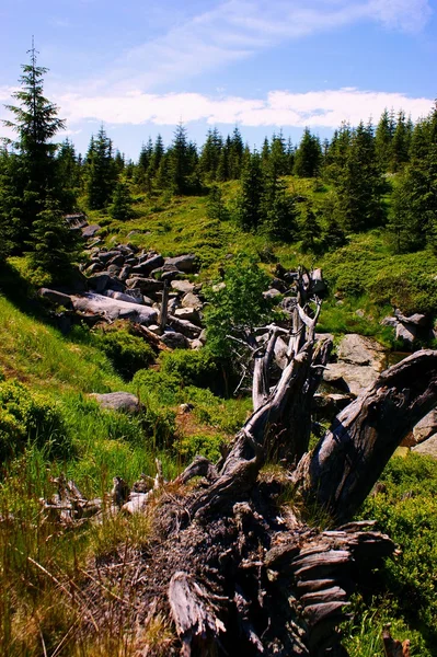 Riesenberge — Stockfoto