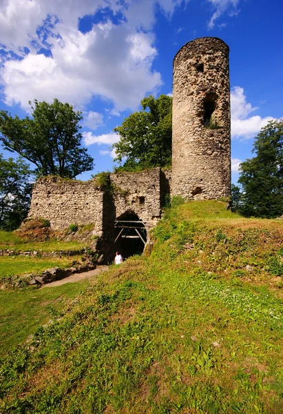 Tschechische Republik, Burg Sukoslav — Stockfoto