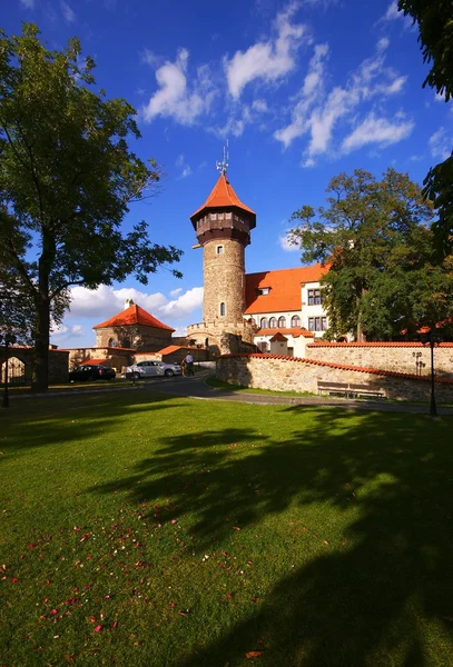 Tschechische Republik, Burg hnevin — Stockfoto