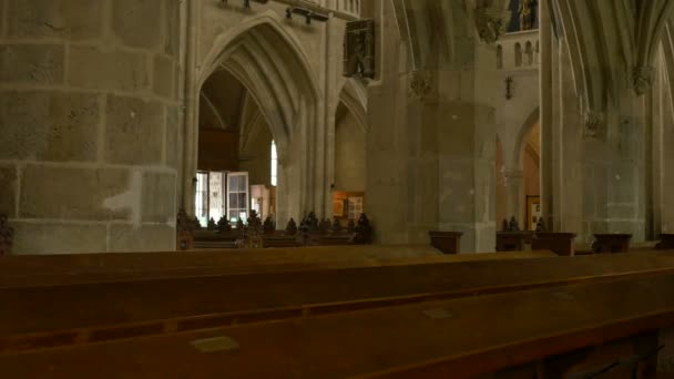 In een middeleeuwse gotische kerk — Stockvideo