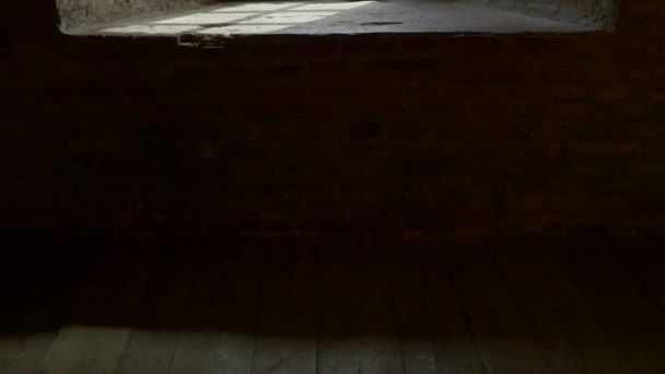 ウィンドウと厚いレンガの壁 — ストック動画