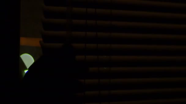 Nacht Shutters weergave — Stockvideo