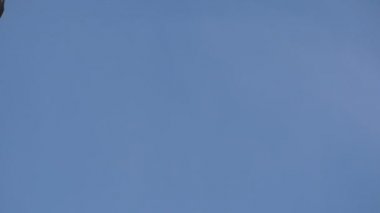 Modern bakır melek heykeli