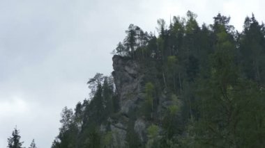 Dağ Cliff ve köknar ağaçları