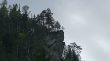 Ağaçları ile sarp Moountain