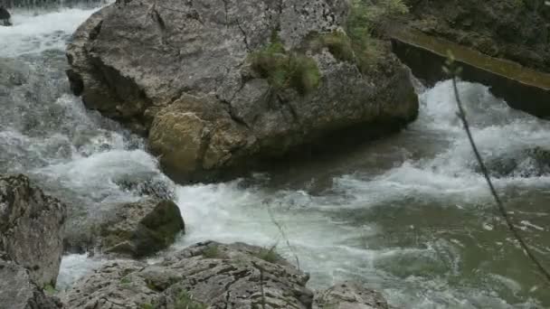 Boulder on Mountain River — Stock Video