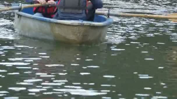 Boat with Paddles Approaching — Stock Video