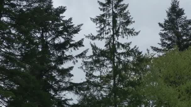 Croix au sommet d'une falaise escarpée — Video