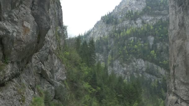 Steile Schlucht mit Vegetation — Stockvideo