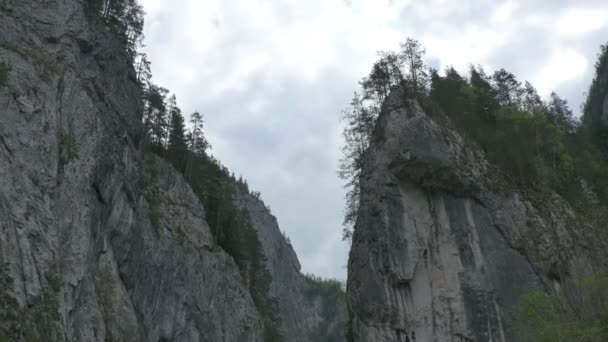 Yüksek kayalıklarla Göknar ormanı — Stok video