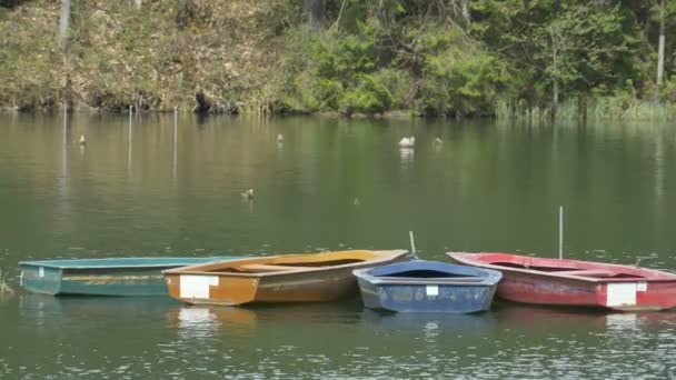 Boats Floating on Lake — Stock Video