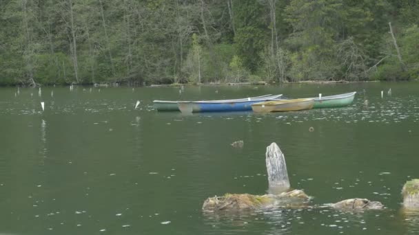 Zakotvenými čluny na jezeře — Stock video