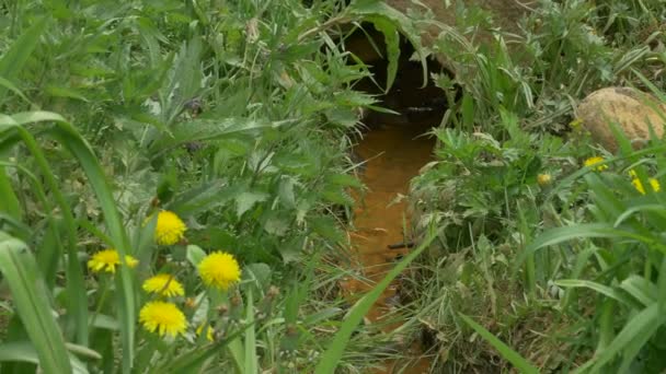 Мінеральна вода навесні потік — стокове відео