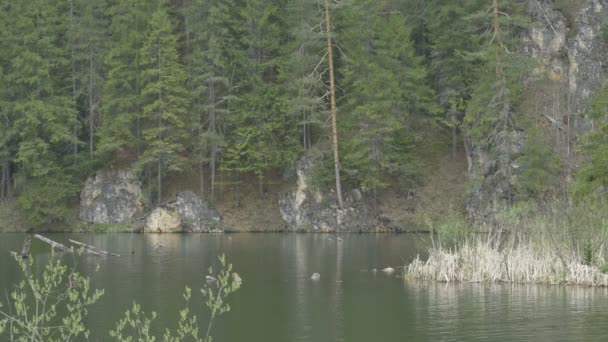 Göl, çam ve kayalıklarla görünümü — Stok video