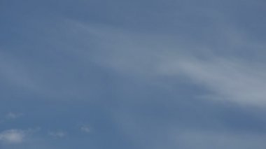 Büyük açık reflektör kutup