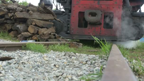 Tren de vapor detenido — Vídeos de Stock