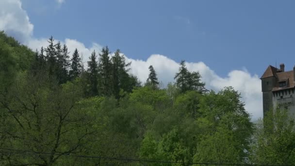 Château de Dracula au printemps — Video