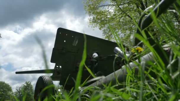 在草丛中的大炮 — 图库视频影像
