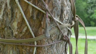  İpleri knot gerginlikler