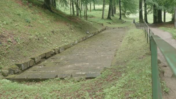 Alte dakische Straße im Wald — Stockvideo