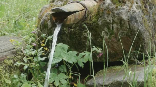 Fluxos de água através do tubo de madeira — Vídeo de Stock